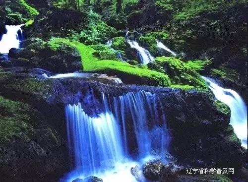 星际争霸